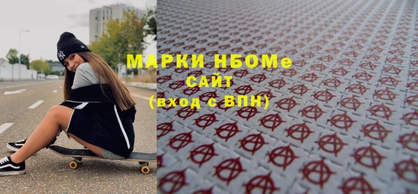 шишки Арсеньев