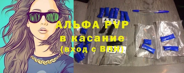 шишки Арсеньев