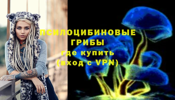 mdpv Армянск