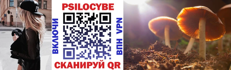 Псилоцибиновые грибы мухоморы  купить наркотики цена  Рославль 
